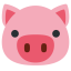 :pig-face: